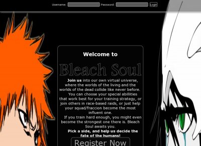 Bleach Soul Online!